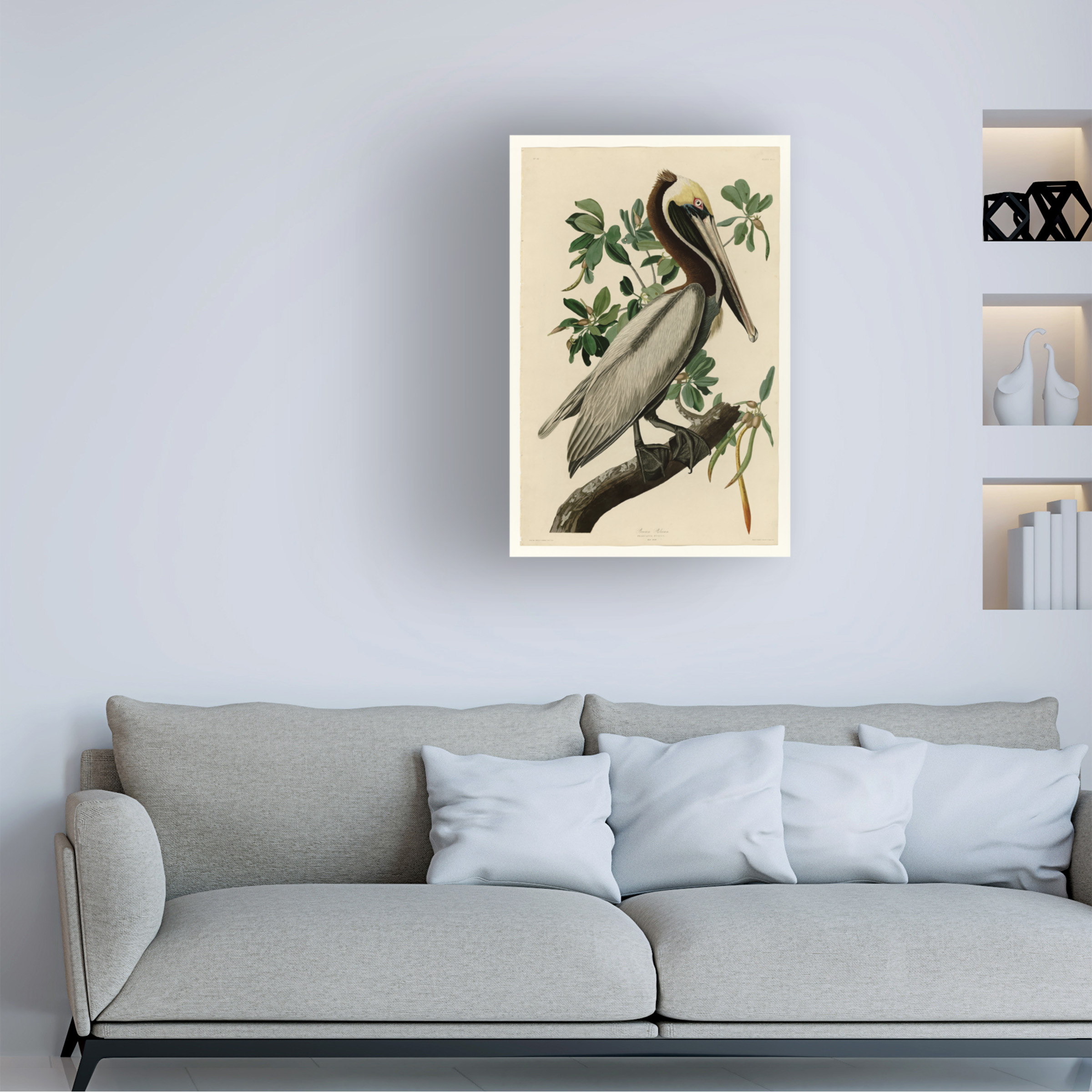 Audubon 'Brown Pelicanplate 251' Canvas Art