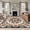 Multicolor, variant on 6'x9' Area Rugs, Blue Burnt Orange Boho Indoor Outdoor Area Rug for Living Room Bedroom, Antique Southwestern Art Washable Bathroom Rugs Kitchen Floor Carpet Mats Home Decor Aesthetic