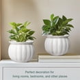 thumbnail image 5 of EFISPSS 6" Self-Watering Pumpkin-Style Ceramic African Violet Pot – Pumpkin-White Indoor Planter, No Plant Included, 5 of 8