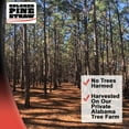 thumbnail image 4 of Longleaf Pine Straw Roll for Landscaping - Brown Color UV Resistant - Covers Up to 125 Square Feet, 4 of 4