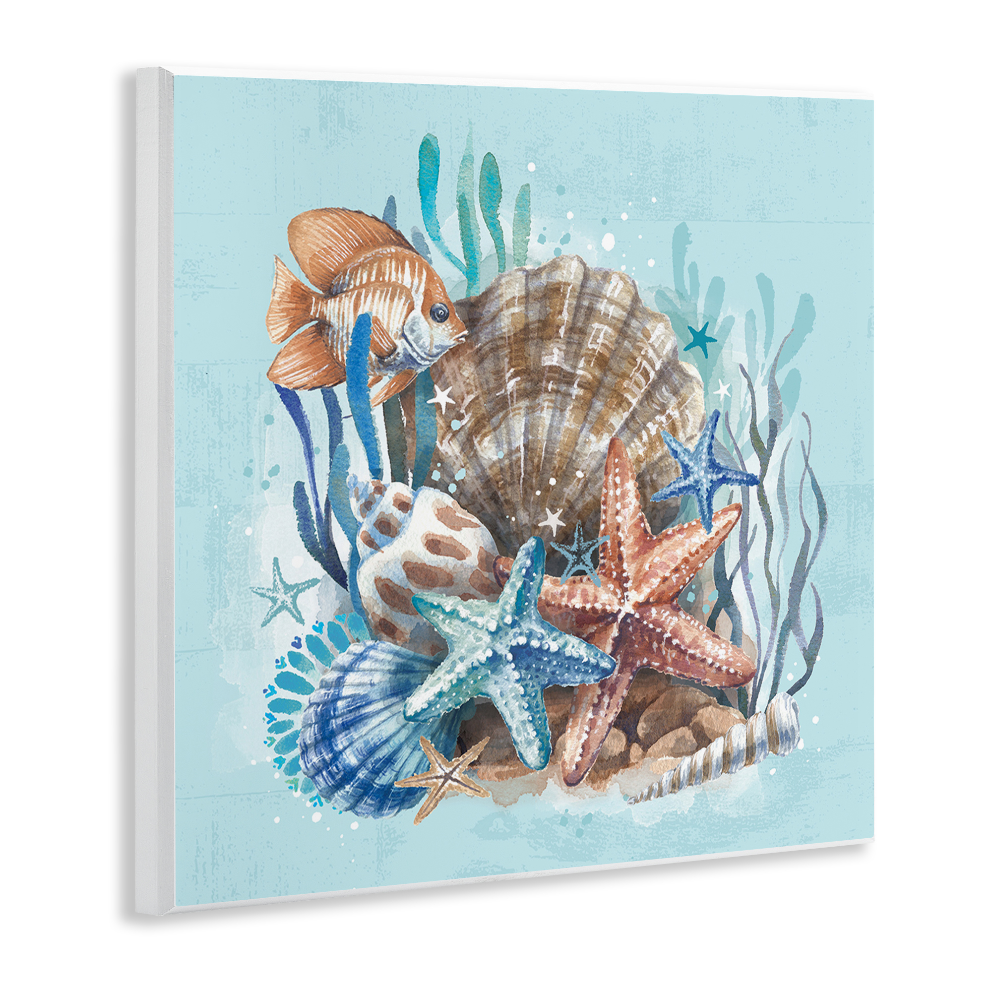 Stupell Industries Seashell Still Life Coastal Painting Unframed Art Print Wall Art, 12 x 12
