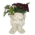 thumbnail image 2 of Homestyles Antique White Ole Salty & Grandma Violet the Muggly Face Humorous Statue Planter Pot, 2 of 4