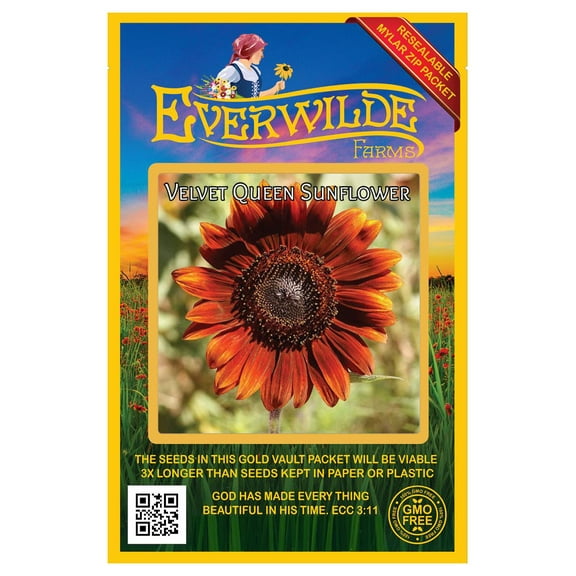 Everwilde Farms - 50 Velvet Queen Sunflower Garden Flower Seeds - Gold Vault Jumbo Bulk Seed Packet