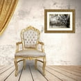 thumbnail image 3 of Hausenflock, Alan 24x17 Gold Ornate Wood Framed with Double Matting Museum Art Print Titled - Approaching Storm I, 3 of 4