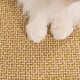 thumbnail image 5 of Cama de verano con autoenfriamiento para perros medianos y pequeños, sofá cama duradero para perros y gatos, acogedora y fresca cama de ratán para cachorros y gatos con base antideslizante., 5 of 6