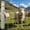 5ft x 164ft, variant on 5FT x 328FT Heavy Duty Farm Fence, Galvanized Wire Livestock Fencing for Goats, Cattle & Deer, High-Zinc Field Fence Roll for Yard, Pasture & Ranch Protection