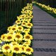 thumbnail image 5 of 2 Pcs Pack Solar Flower Lights Outdoor Solar Lights Sunflower Decorative LED Solar Lights, 5 of 5