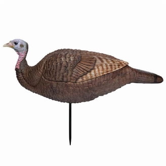 Montana Decoy Has A PURR-FECT Turkey - Fin And Field Blog