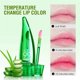 thumbnail image 4 of Aloe Vera Moisturizing and Moisturizing Lip Color Warm and Colorful Lip Oil, 4 of 5