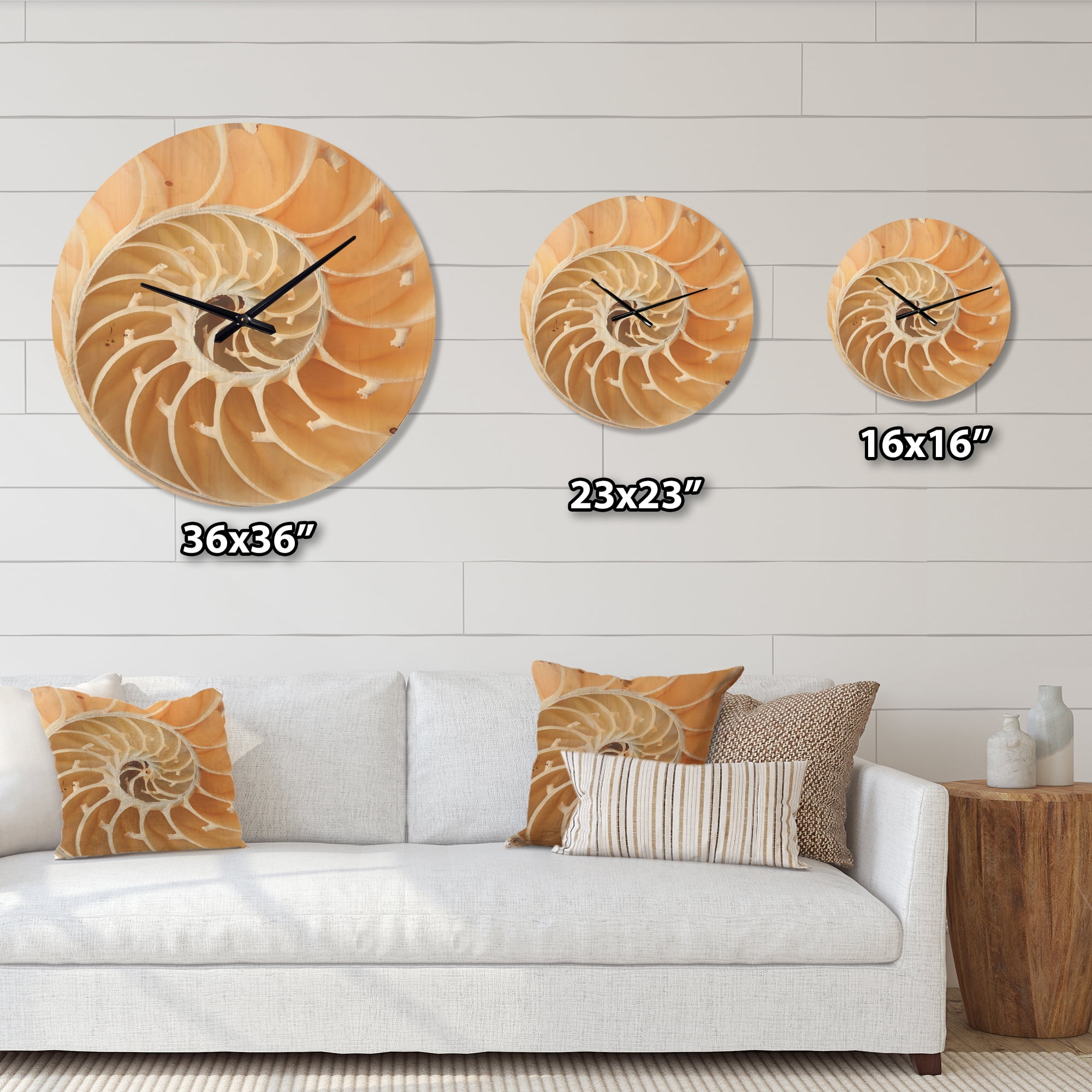 Designart 'Close Up Brown Nautilus Shell Pattern ' Modern Wood Wall Clock