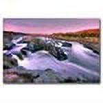 Trademark Art "Everything Flows" Canvas Art by CATeyes