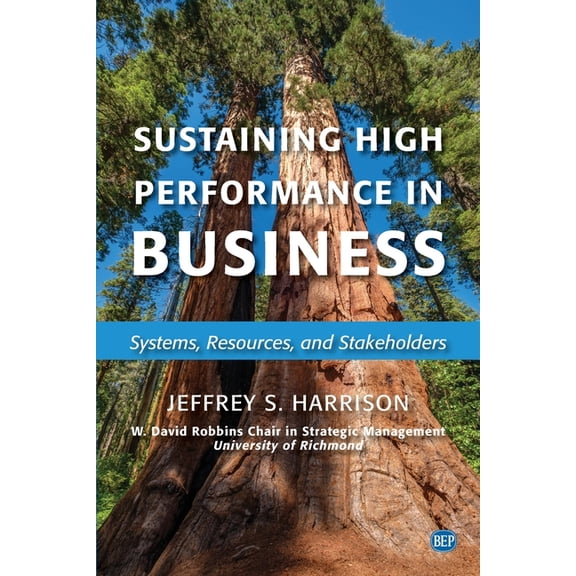Sustaining High Performance in Business: Systems, Resources, and Stakeholders (Paperback)