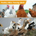 Hyindoor 32.8ft (length) x 15.7in (width) Chicken Wire Fencing Mesh Set
