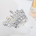 thumbnail image 5 of Broche Zulema de Diamante de Imitación Plata 5.1 x 3.1 cm, 5 of 5