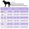 thumbnail image 6 of AIITLE Dog Harness and Leash Set, No Pull Step in Puppy Harness with Breathable Mesh, Reflective Puppy Essentials for Outdoor Walking, Training for Extra Small and Small Dogs, Cats Purple XS, 6 of 8