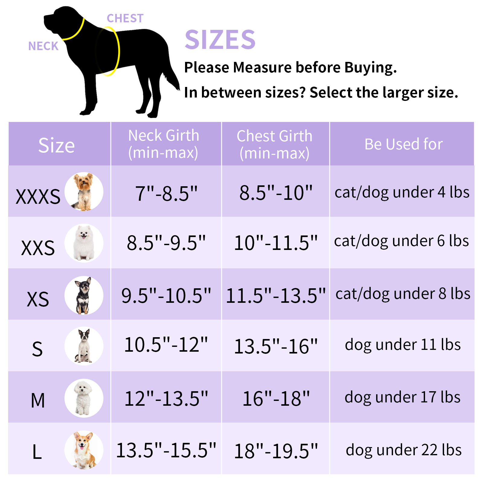 AIITLE Step-In Reflective Pet Harness & Leash, Purple XXXS photo 5