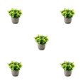 thumbnail image 1 of kurtrusly Realistic Artificial Succulent Low Maintenance Elegant Easy To Clean Artificial Money Tree In Pot newyellowbabysbreath 5Set, 1 of 6