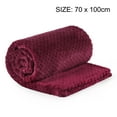 thumbnail image 4 of PiccoCasa Luxury Fleece Bed Blanket Woven Mesh Burgundy 30"x40", 4 of 8