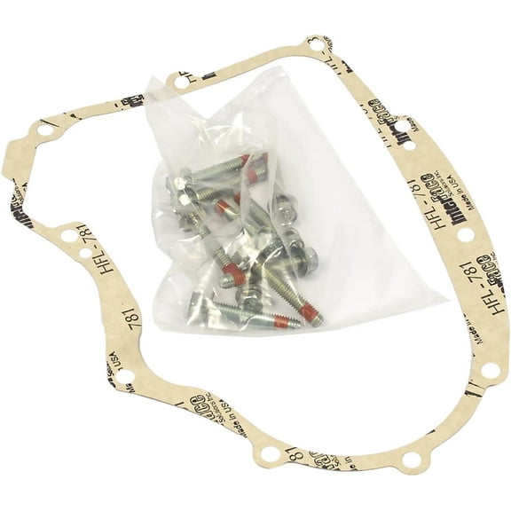 G3C702LGenuine Briggs and Stratton 594195 Crankcase Gasket Kit