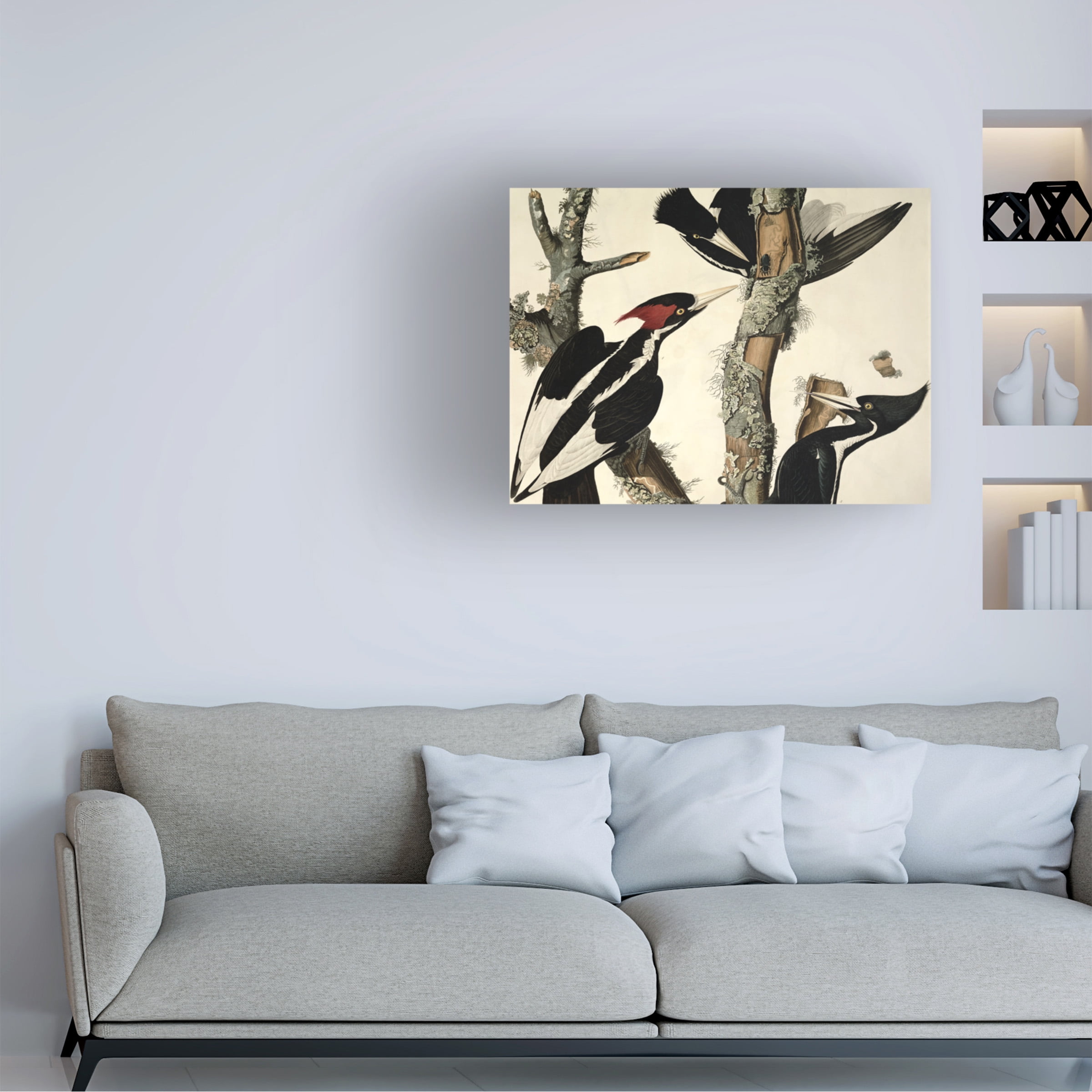 Trademark Fine Art "Ivory-Billed Woodpecker" Canvas Art by John James Audubon