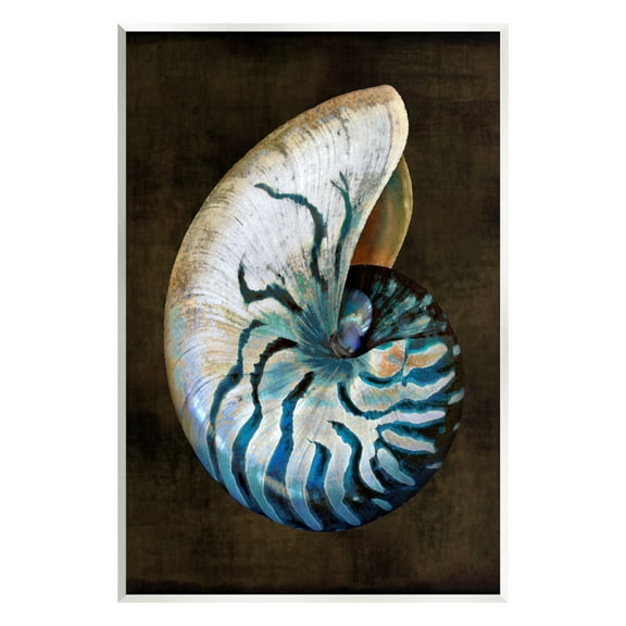 Stupell Industries Modern Marine Shell Nature Painting Unframed Art Print Wall Art, 10 x 15