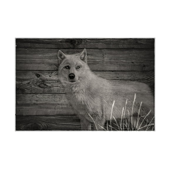 Canvas Wall Art - Gordon Semmens 'Woodgrain Antiques 14' Wall Art for Living Room, Bedroom, or Office Décor by Trademark Fine Art - 19 x 12 Inches