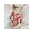 thumbnail image 5 of Pet Dog Pajama Soft Silk French Bulldog Pajamas For Small Dogs Shih Tzu Puppy Cat Clothes Pets Clothing, 5 of 8