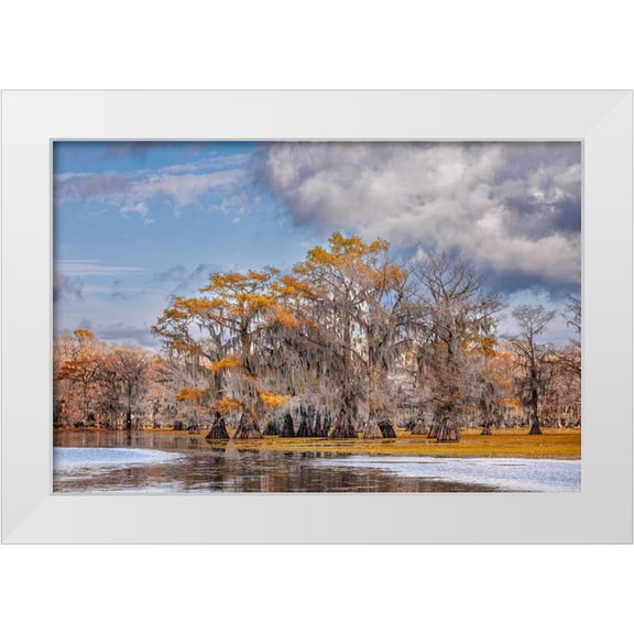 Jones, Adam 14x11 White Modern Wood Framed Museum Art Print Titled - Bald cypress trees in autumn Caddo Lake-Uncertain-Texas
