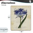 thumbnail image 4 of Stupell Industries Shabby Chic English Botany Blue Floral Canvas Art, 16 x 20, by Susan Arnot, 4 of 8