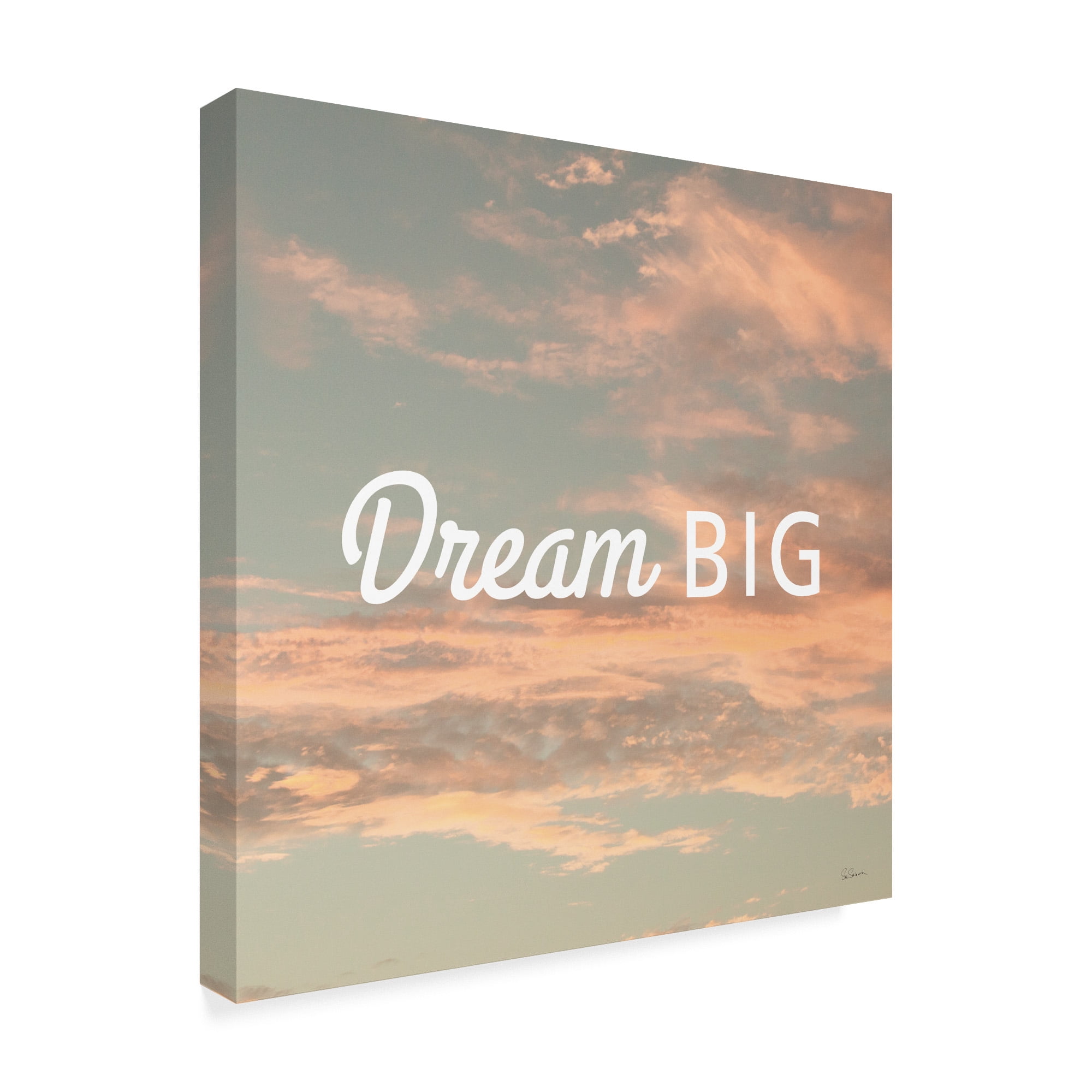 Trademark Fine Art 'Sea Inspiration III v2' Canvas Art by Sue Schlabach