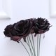thumbnail image 4 of GOOHOCHY Flor de rosa artificial de 7 cabezas Ramo de flores de rosa negra con apariencia real para el festival de la fiesta de bodas (sin hojas), 4 of 8