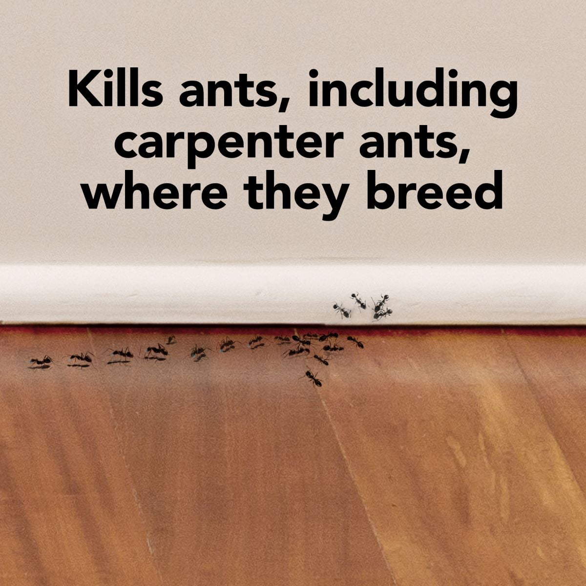 Raid Max Liquid Ant Killer Baits and Trap, Child Resistant, 4 Count