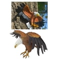 thumbnail image 3 of Polyresin Eagle of Freedom Estatua de pájaro colgante de águi calva Los 225x10cm Zulema Figuras Hugger, 3 of 8
