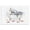 Nautical Bathtub Dolphins, variant on Stupell Industries Coastal Egrets in Nautical Bathtub Canvas Art, 20 x 16, by Ziwei Li