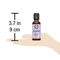 thumbnail image 5 of Lavender Oil 100% Pure Premium Lavender Essential Oil  4 oz - Aceite De Lavanda - from Creation Pharm, 5 of 5