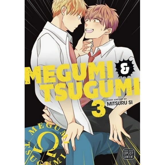Megumi & Tsugumi Megumi & Tsugumi, Vol. 3, Book 3, (Paperback)