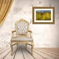 thumbnail image 3 of Illg, Cathy and Gordon 32x23 Gold Ornate Wood Framed with Double Matting Museum Art Print Titled - Arizona, Sonoran Desert Saguaro and palo verde, 3 of 4