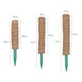 thumbnail image 5 of 4PCS Moss Coir Plant Support Stakes, Climbing Plant Support, Coconut Moss Rods for Indoor Plants, Monstera Adansonii, Creeper, 5 of 8