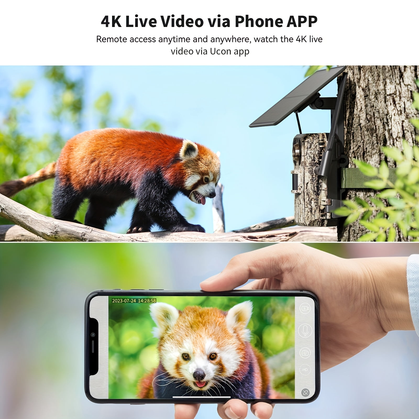 4G LTE Cellular Trail Camera: 4K Live View, Solar Powered, 0.2s Trigger, Night Vision, Remote Phone Access