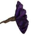 thumbnail image 5 of Vickerman Natural Botanicals 6" Violet Maize Dahlia. 6 stem/bag. Dried and preserved., 5 of 5