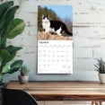 thumbnail image 5 of Tuxedo Cats | 2026 12x24" (Hanging) Wall Calendar | Plastic-Free | BrownTrout, 5 of 9