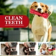 Pet Deluxe XL Squeaky Toys for Aggressive Chewers, Durable Chew Toys