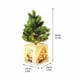 thumbnail image 3 of Musical Climbing Santa Claus Christmas Ornament with Adjustable Speed for Holiday Tree and Home Decoration, 3 of 8