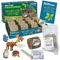 MindWare Dig it Up! Woodland Animals Excavation Kit - Dig Kit with 12 Stumps, 12 Animal Figurines & 12 Chisels, Group or Classroom Activities