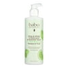 Babo Botanicals - Swim And Sport Citrus Mint Shampoo And Wash, 1 Each, 16 Fl Oz