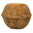 thumbnail image 2 of Vickerman SAPA POD MEDIUM, NATURAL (CP-__), Dried, 2 of 2