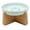 Green, variant on BESEW7 Ceramic Raised Cat Bowl with Wood Stand, Elevated Slow Feeder for Cats and Small Dogs, Non-Slip Base Easy Clean Pet Water Dish White
