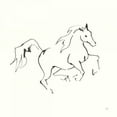 thumbnail image 2 of Paschke, Chris 20x20 White Modern Wood Framed Museum Art Print Titled - Line Horse V, 2 of 4