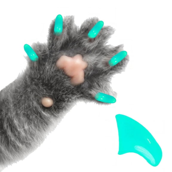 Pretty Claws Teal Nail Caps for Cats - Medium Size - 60 Pack ~ Stylish