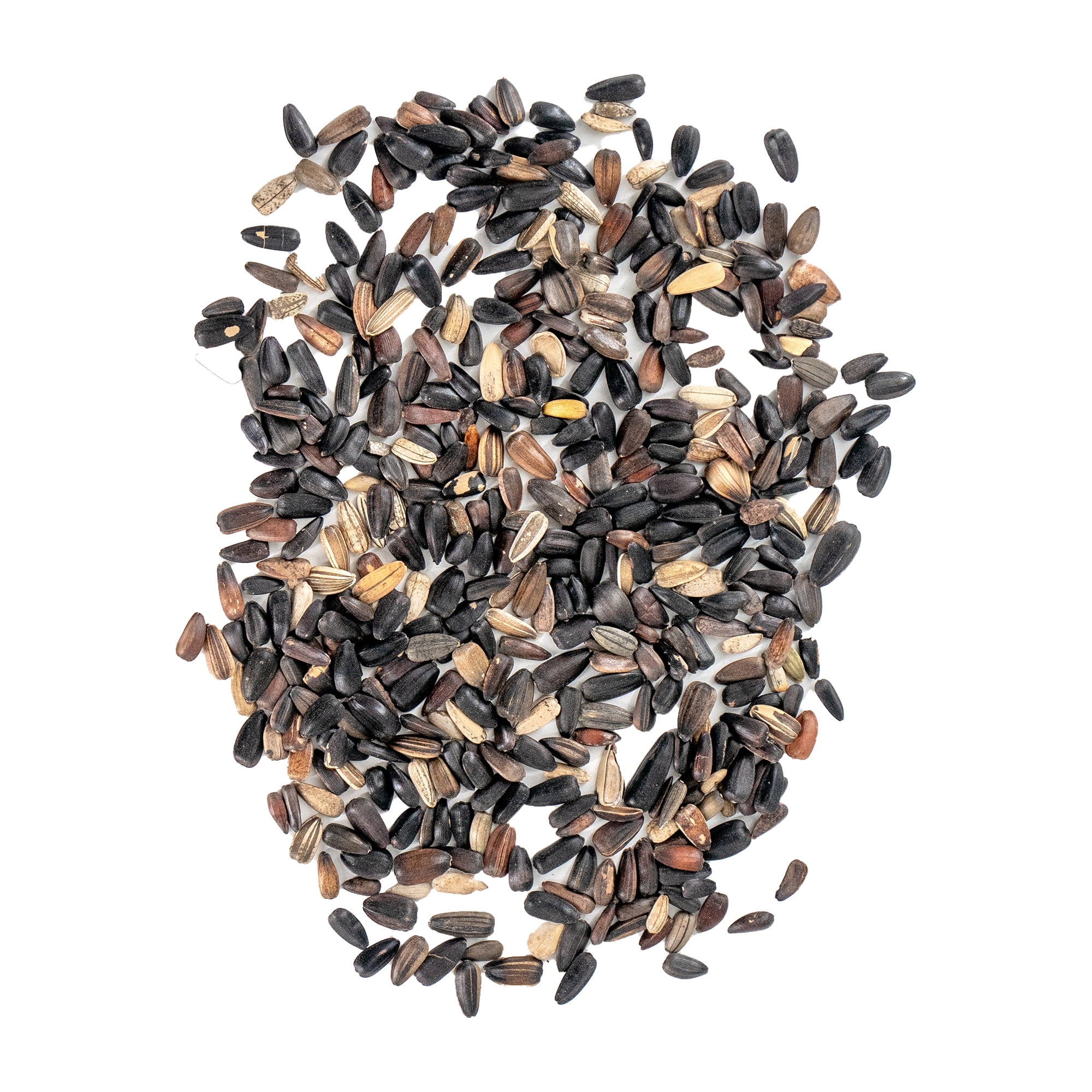 Ferry-Morse Red Shades Mix Bulk Sunflower Seeds, 1lb